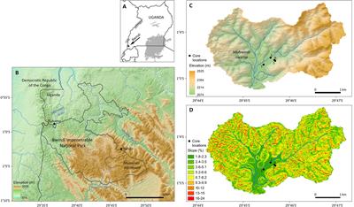 The Challenges of Reconstructing Tropical Biodiversity With Sedimentary Ancient DNA: A 2200-Year-Long Metagenomic Record From Bwindi Impenetrable Forest, Uganda